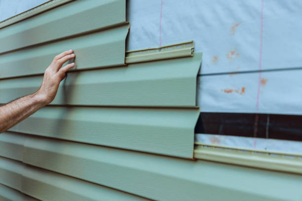 Best Custom Siding Design  in Laingsburg, MI